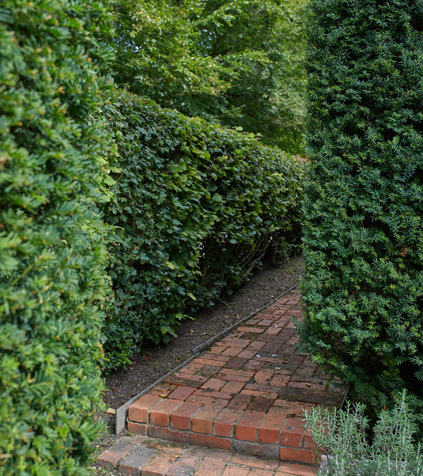 Blewbury Water Garden's image of a beautiful garden pathway